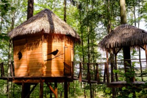 Treehouse brno